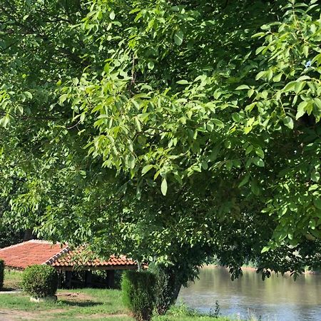 Apartmani Morava 54 Kocino Selo Exterior foto